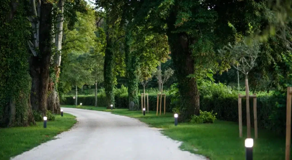 Chateau de montcaud - Château ***** 250