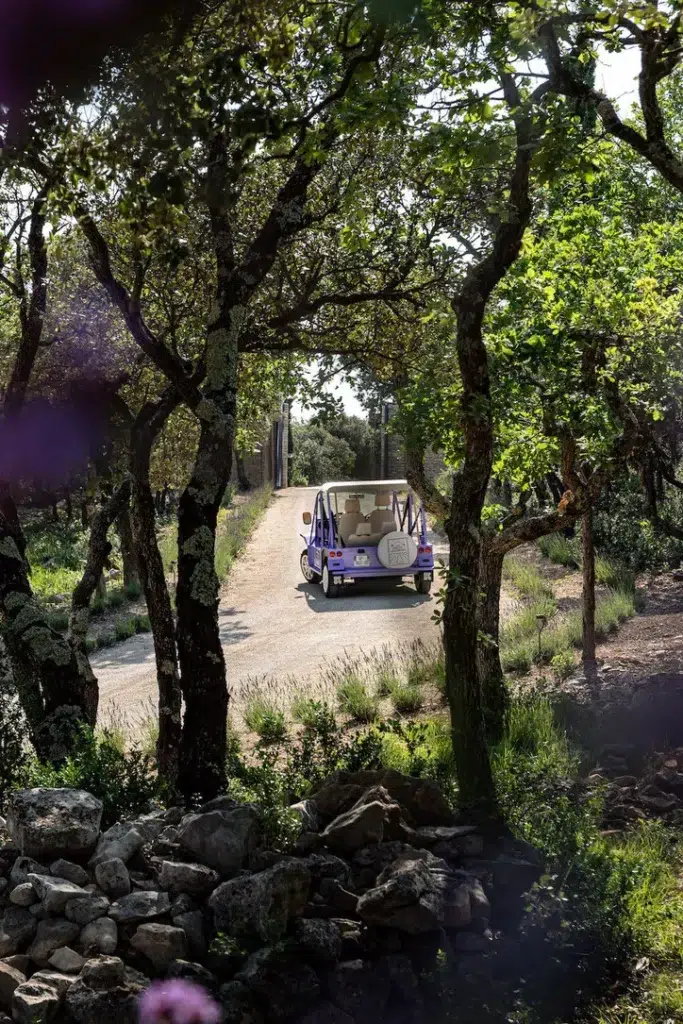 Mas Les Hauts de Gordes